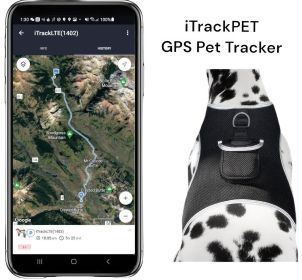 Pet Tracker Realtime GSM GPS Tracking Collars for Hunting Dogs Waterproof Size:XS Pet Tracker Realtime GSM GPS Tracking Collars for Hunting Dogs Waterproof Size:XS